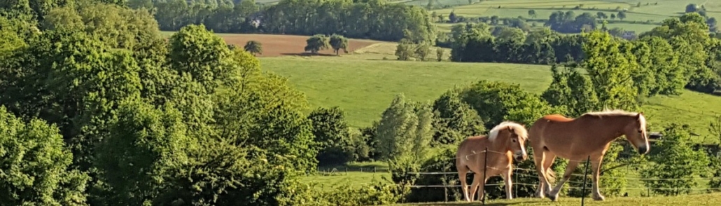 Hoogtestage-rit Zuid-Limburg